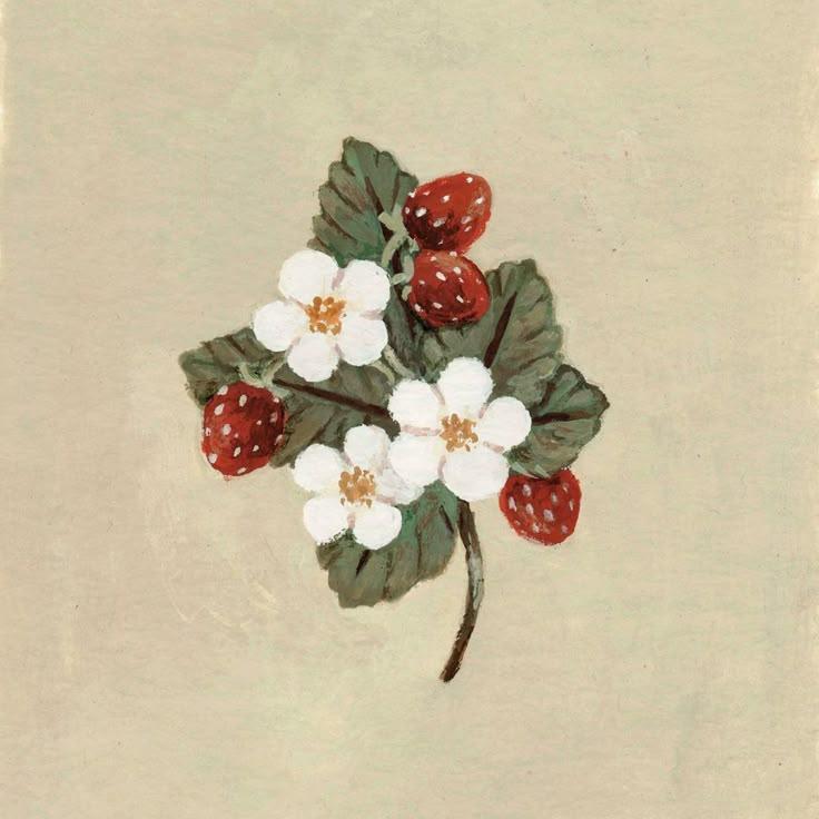 Natural Berry Symphony: Luscious Varieties, Farmstead Pride